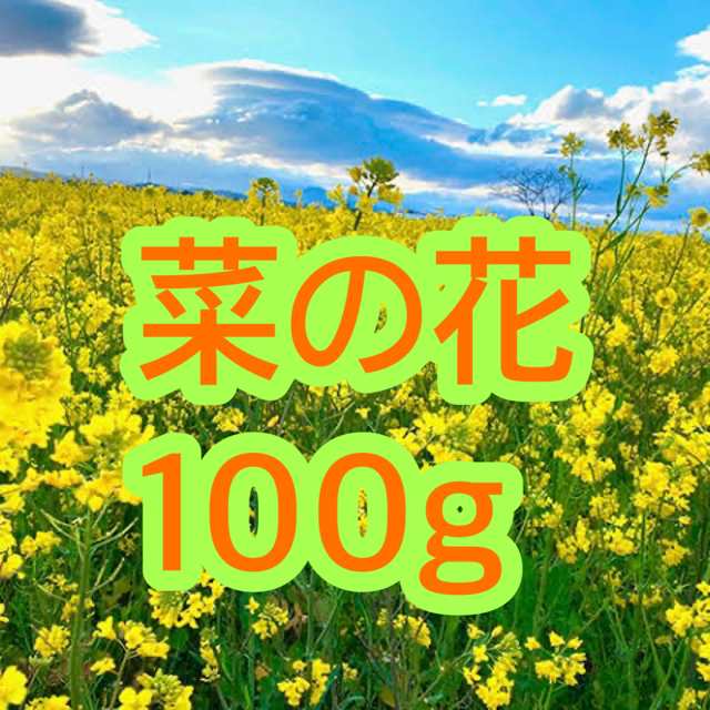 菜の花 種100g（大容量！30000粒以上！） ハンドメイドのフラワー/ガーデン(その他)の商品写真