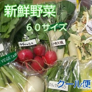 新鮮野菜【60サイズ野菜セット&ギュギュッと乾燥野菜♪】農薬不使用(野菜)