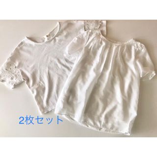 ニジュウサンク(23区)の23区　saloon　レディース　カットソー2枚　レース　シアボーダー　Mサイズ(カットソー(半袖/袖なし))