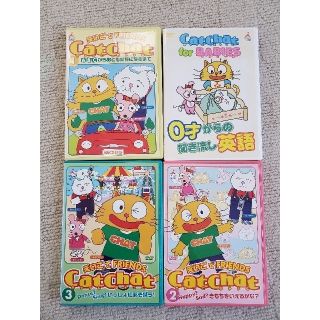 DVD  Cat Chat ﾍﾞｲﾋﾞｰｽﾞ.1～3 (知育玩具)