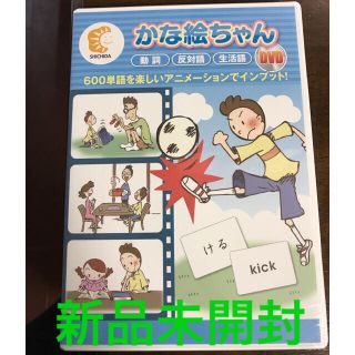 れんママさん専用　　かなえちゃんDVD(知育玩具)