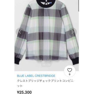 バーバリーブルーレーベル(BURBERRY BLUE LABEL)のクレストブリッジ  トップス　春物　チェックプリントコンビニットミントグリーン(カットソー(長袖/七分))