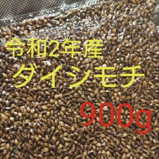 讃岐もち麦 ダイシモチ 玄麦(米/穀物)