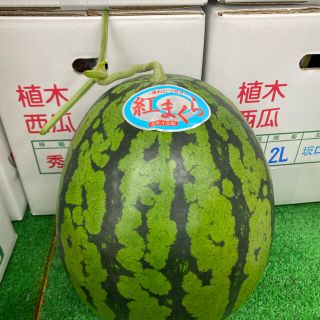 カツヨ様専用　6kg １玉入り(フルーツ)