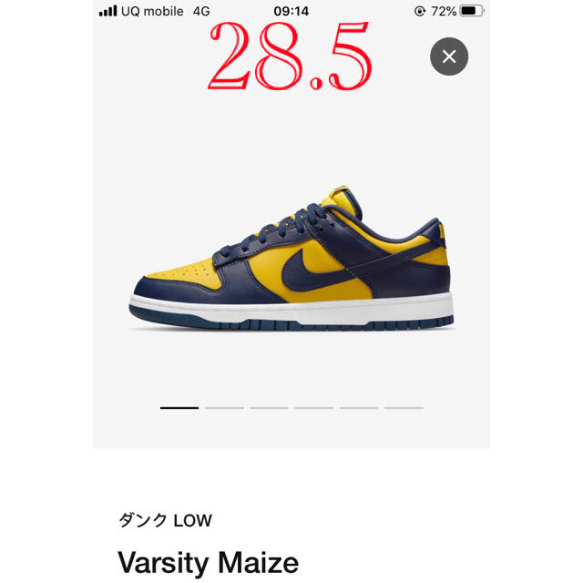 NIKE DUNK LOW MICHIGANスニーカー