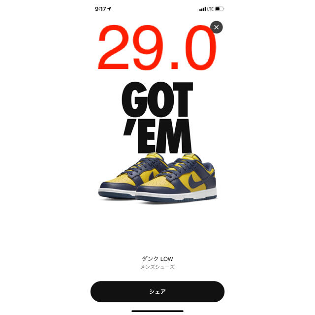 NIKE DUNK LOW "MICHIGAN" 29.0181体重