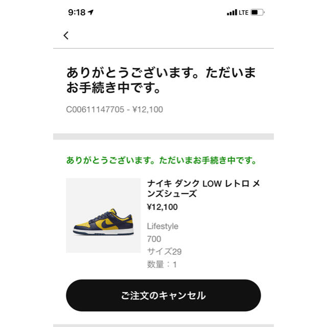 NIKE DUNK LOW "MICHIGAN" 29.0 1