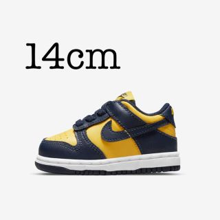 NIKE ダンク ミシガン ベビーシューズ 14cm www.krzysztofbialy.com