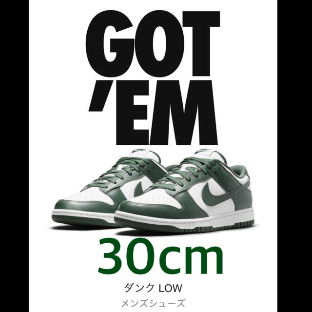 30cm NIKE DUNK Low Varsity Green ダンク