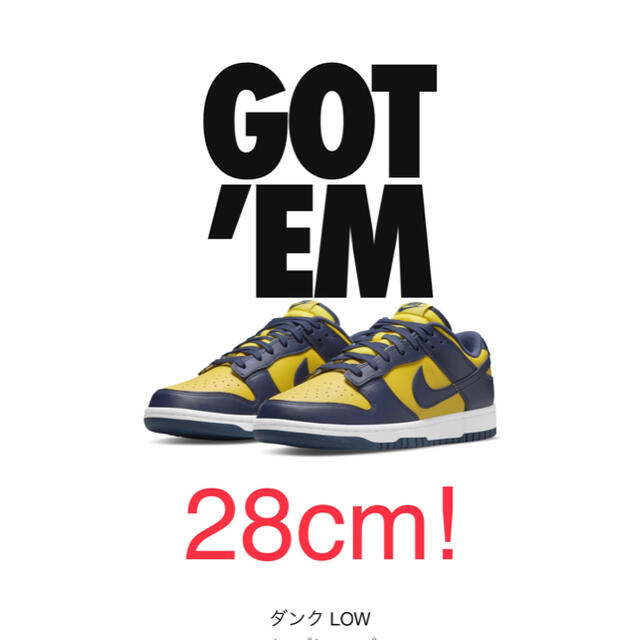 NIKE DUNK LOW MICHIGAN ダンク　ナイキ