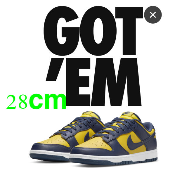 NIKE DUNK MICHIGAN 28cm ナイキ　ダンク　ミシガンメンズ