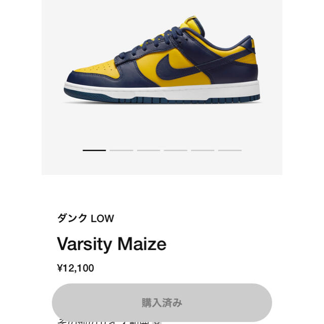 NIKE DUNK LOW MICHIGAN ナイキ　ダンク　ミシガン　27