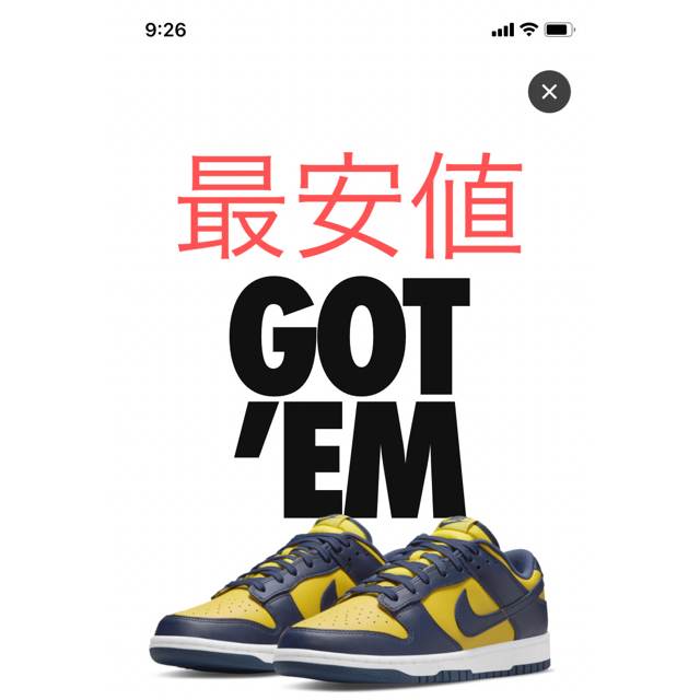 NIKE DUNK LOW MICHIGAN ナイキ　ダンク　ミシガン27.5