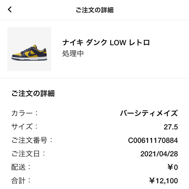 NIKE DUNK LOW MICHIGAN ナイキ　ダンク　ミシガン27.5