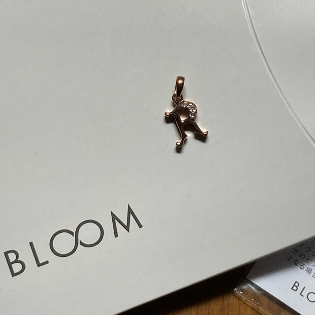 BLOOM(ブルーム)の新品BLOOM ピンクゴールド イニシャルネックレスR シルバー925 ブルーム レディースのアクセサリー(ネックレス)の商品写真