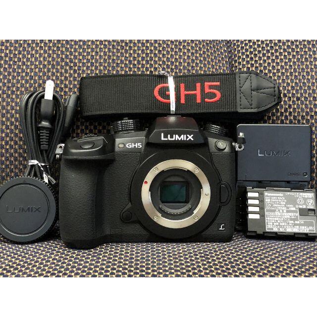 流行に 1015MR ボディ GH5 Lumix 僅か2250ショット デジタル一眼