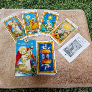 ホワイトキャットタロットカード  Tarot of White Cats(洋書)