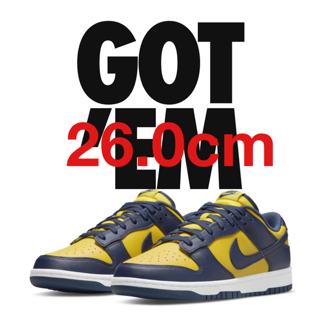 nike ミシガン　DUNK low versity maze michigan