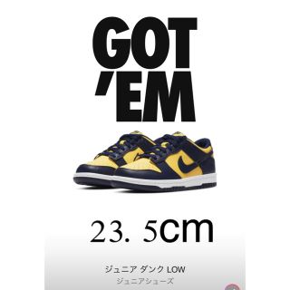 ナイキ(NIKE)のNike ダンク LOW ジュニアシューズ 23.5cm(スニーカー)