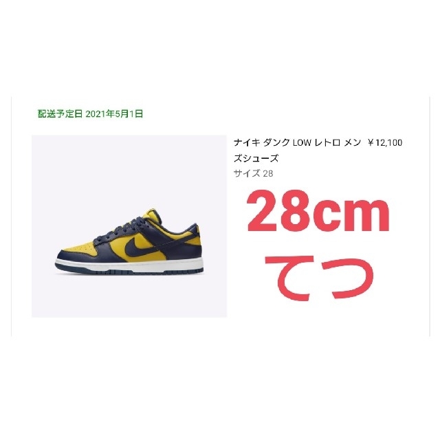 NIKE DUNK LOW MICHIGAN ナイキ　ダンク　ミシガン 28cm