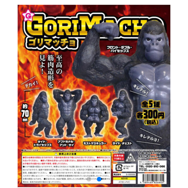 【2点セット】【追跡】GORIMACHO ゴリマッチョ 全5種セット