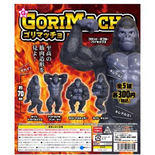 ゴリマッチョ　ガチャガチャ　５種コンプリート