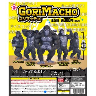 【2点セット】【追跡】GORIMACHO ゴリマッチョ 全5種セット