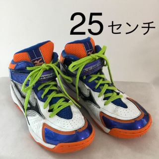 ミズノ(MIZUNO)のバスケットシューズ 25センチ(バスケットボール)