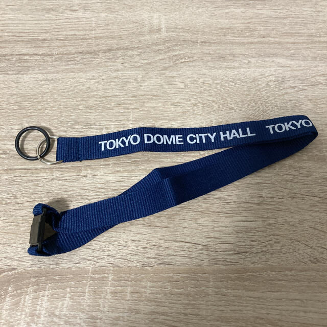 ペットボトルホルダー TOKYO DOME CITY スマホ/家電/カメラのスマホアクセサリー(ネックストラップ)の商品写真