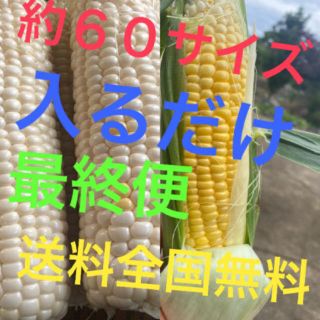 女神アンジェ様専用品(野菜)