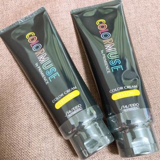 シセイドウ(SHISEIDO (資生堂))の資生堂　カラーミューズ　2本セット(カラーリング剤)