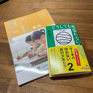 どうしても頑張れない人たち ケーキの切れない非行少年たち　２(文学/小説)