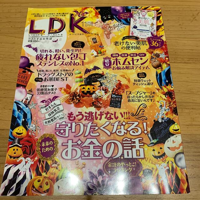 LDK 11月号 エンタメ/ホビーの本(住まい/暮らし/子育て)の商品写真