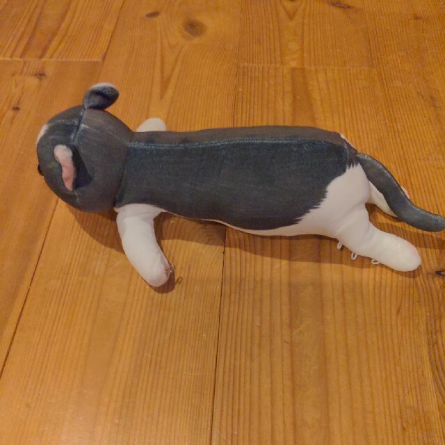 FELISSIMO(フェリシモ)のフェリシモ猫部のぬいぐるみ エンタメ/ホビーのおもちゃ/ぬいぐるみ(ぬいぐるみ)の商品写真