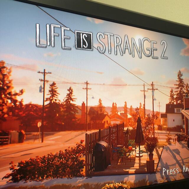 PlayStation4(プレイステーション4)のLife is Strange 2（ライフ イズ ストレンジ 2） PS4 エンタメ/ホビーのゲームソフト/ゲーム機本体(家庭用ゲームソフト)の商品写真