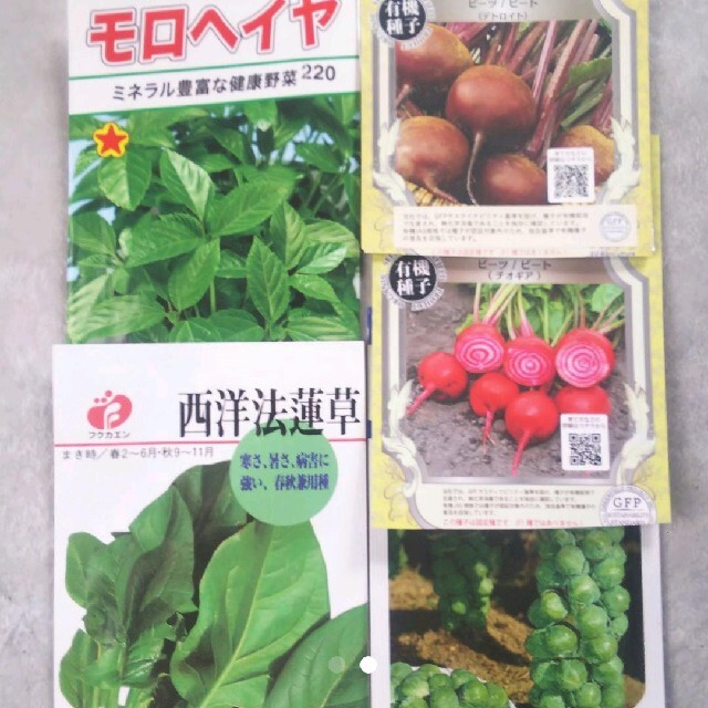 野菜の種 5種類選択 食育 食品/飲料/酒の食品(野菜)の商品写真