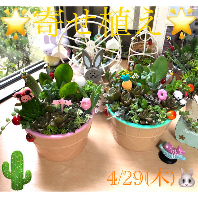 ❤️多肉植物の寄せ植え❤️ねこちゃん三輪車～❤️