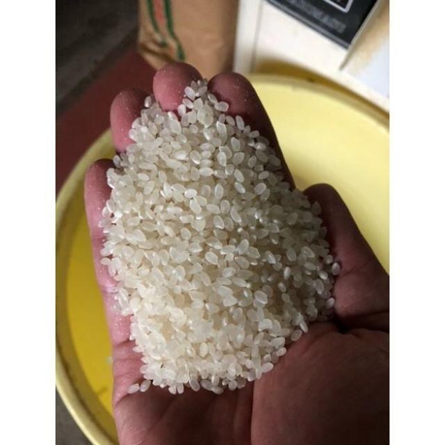 令和2年 魚沼産コシヒカリ津南産 30kg (玄米・数量限定販売)