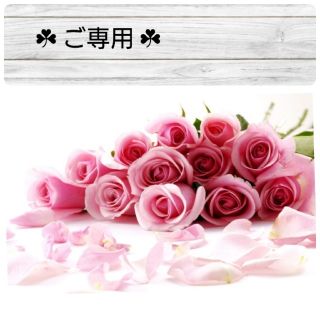 ✤アトリエ月と薔薇☆美帆様✤ ご専用(チャーム)