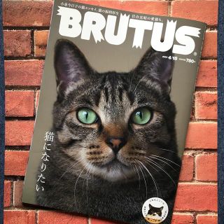 マガジンハウス(マガジンハウス)のBRUTUS (ブルータス) 2021年 4/15号(その他)