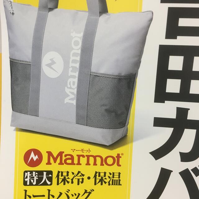 MARMOT(マーモット)の新品未開封　モノマックス付録Marmot特大保冷バック メンズのバッグ(トートバッグ)の商品写真