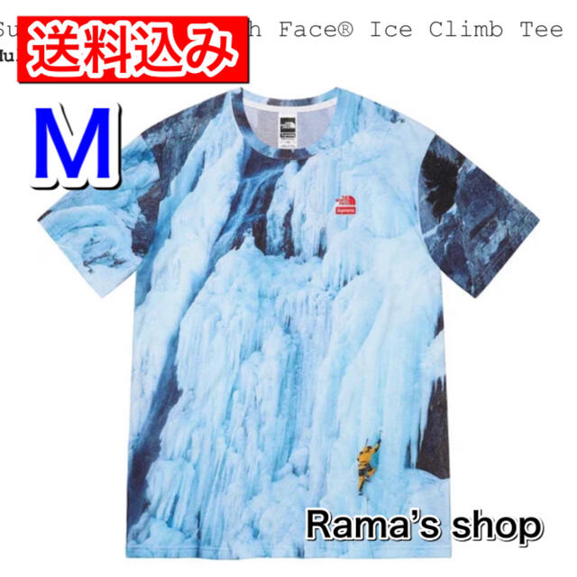 トップスSupreme THE NORTH FACE Ice Climb Tee M