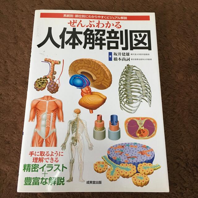 ☆美品☆ぜんぶわかる人体解剖図 系統別・部位別にわかりやすくビジュアル解説 エンタメ/ホビーの本(健康/医学)の商品写真