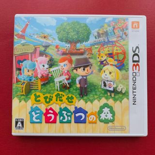 ニンテンドー3DS(ニンテンドー3DS)のとびだせ どうぶつの森 3DS(その他)