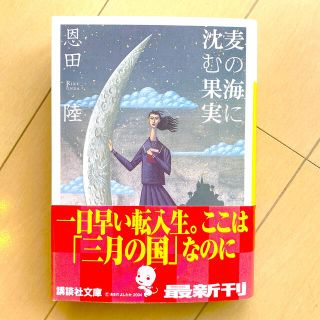 麦の海に沈む果実(文学/小説)