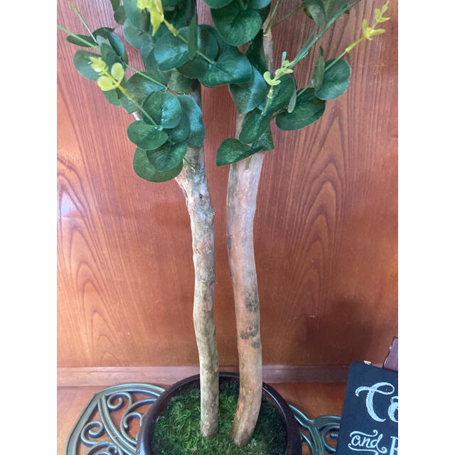 光触媒 人工観葉植物 ウォールグリーン 造花 インテリア ユーカリポポラス137の通販 By 太郎 ラクマ 光触媒 人工観葉植物 ウォールグリーン 造花 インテリア ユーカリポポラス137の通販 By 太郎 ラクマ