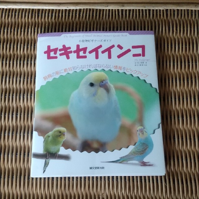 セキセイインコ 小動物ビギナ－ズガイド エンタメ/ホビーの本(住まい/暮らし/子育て)の商品写真