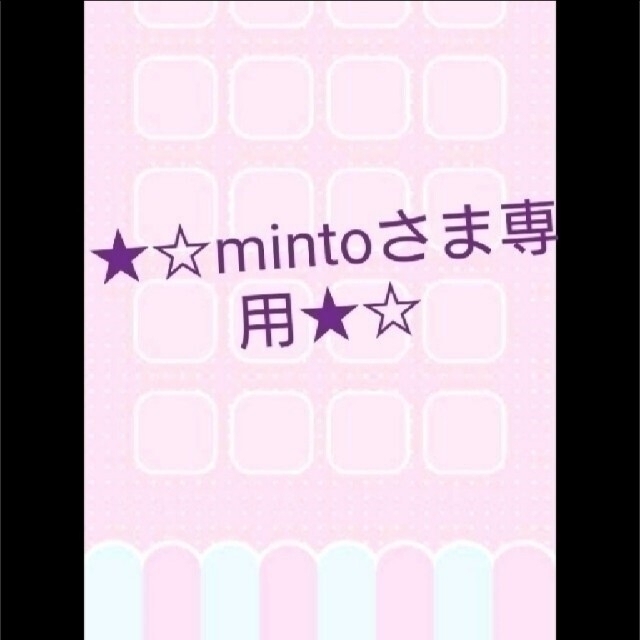 ★mintoさま専用★レッスンバッグ 2点