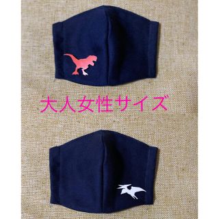 【２枚セット】恐竜　インナーマスク(外出用品)