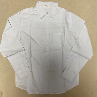 ザンパ(zampa)の【新品・未使用】　カッターシャツ(シャツ/ブラウス(長袖/七分))